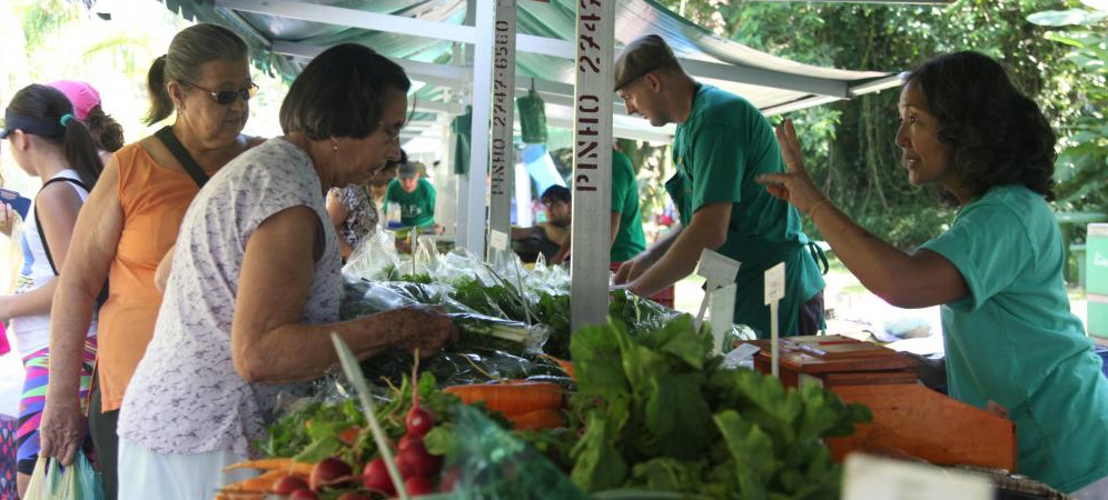 Feira de Orgânicos terá terapias alternativas