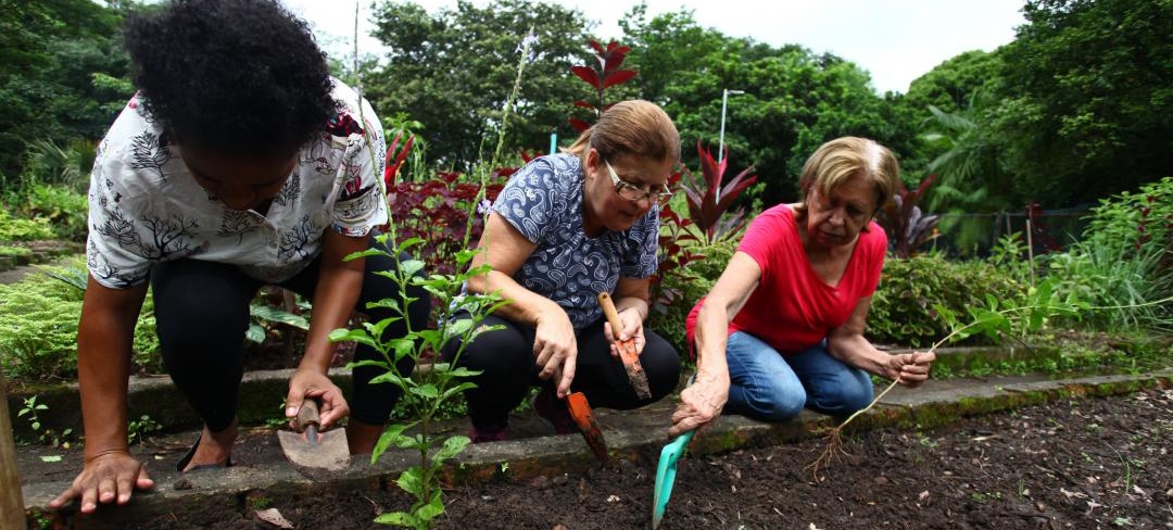 Feira de Orgânicos acontece no Jardim Botânico neste domingo