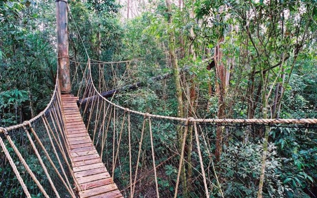 Curso de férias no Parque das Neblinas