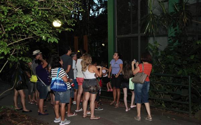 Orquidário realiza visita noturna nesta terça-feira