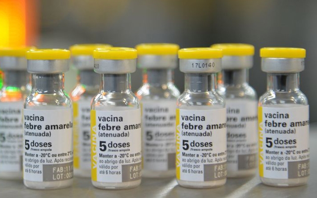 Santos apura morte após reação à vacina contra febre amarela | Jornal da Orla