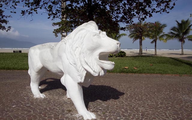 Projeto vai chr39limparchr39 o leão da praia