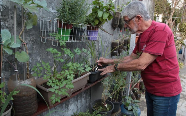 Oficina ensina a fazer horta doméstica | Jornal da Orla