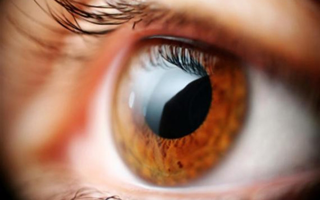 Hoje é Dia Nacional de  Combate ao Glaucoma | Jornal da Orla