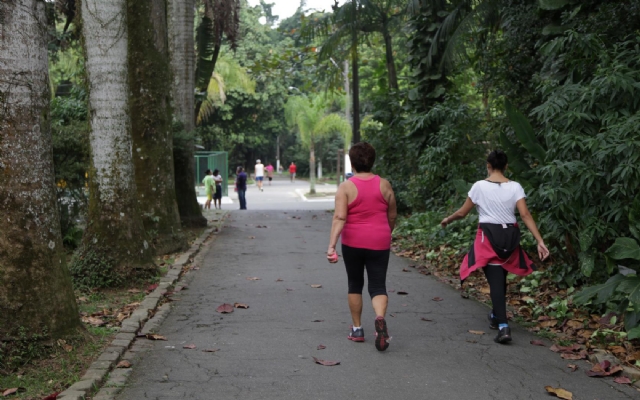 Linha Conheça Santos: passeio pela cidade acontece neste domingo (6)