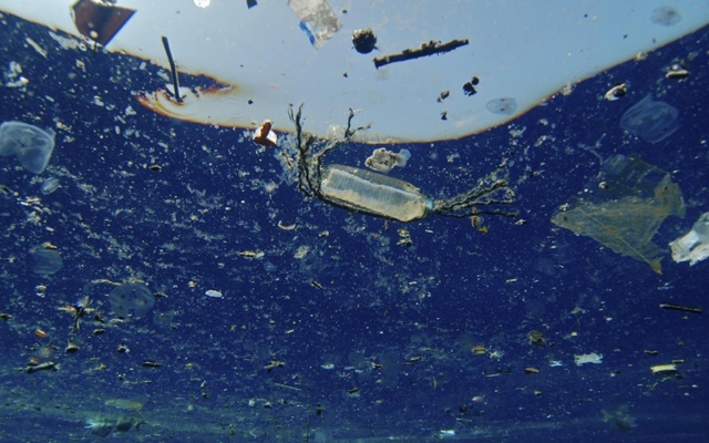 Associação internacional quer acabar com lixo marinho em Santos | Jornal da Orla