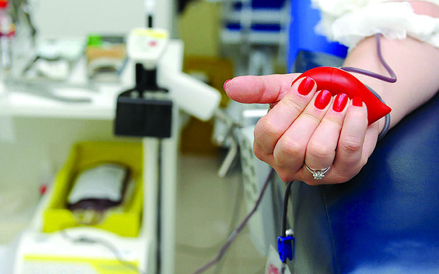Junho Vermelho alerta para a doação de sangue | Jornal da Orla