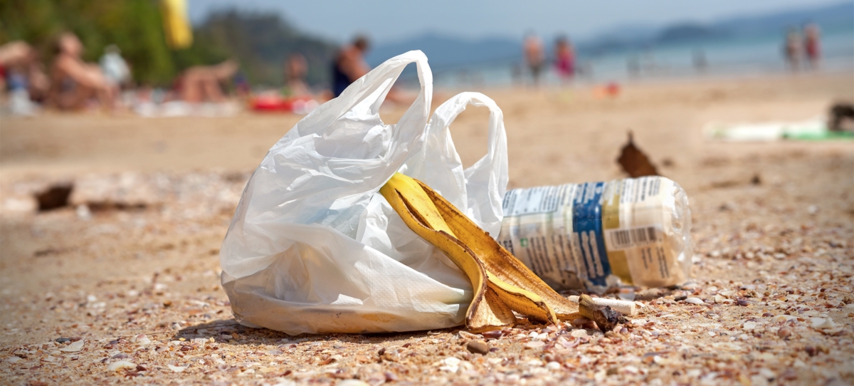 Campanha MicroLixo nas Praias acontece domingo (8)