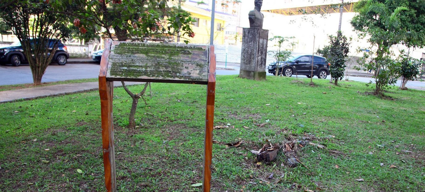 Vândalos destroem Arvorarte na Ponta da Praia