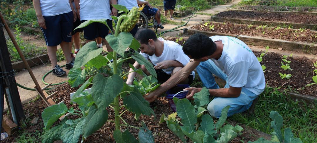 Jardim Botânico de Santos segue com vagas para horta ecológica