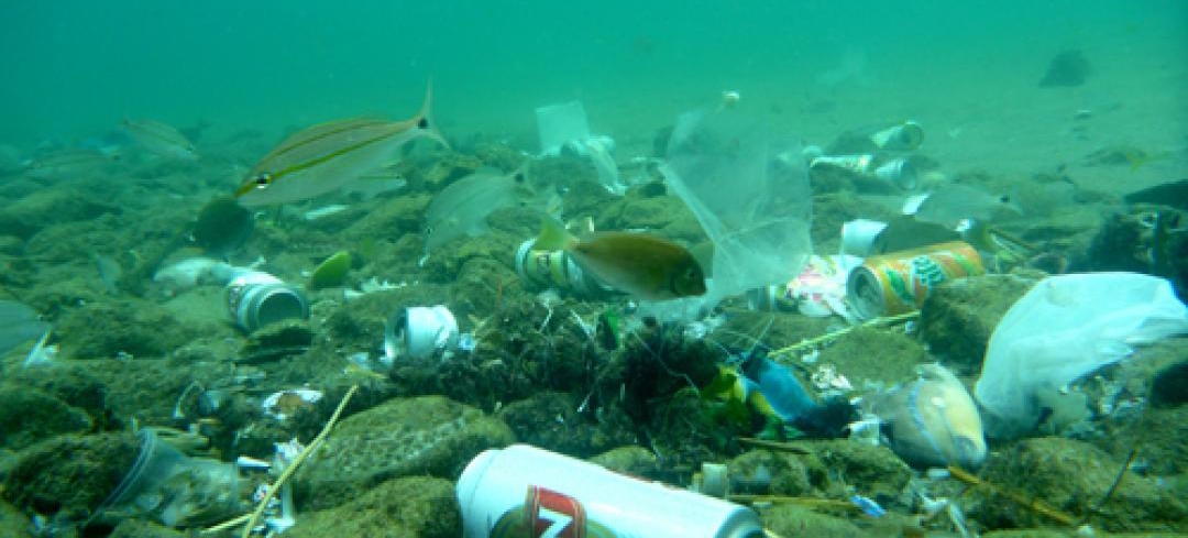 Santos se une a agentes internacionais para combater lixo marinho | Jornal da Orla