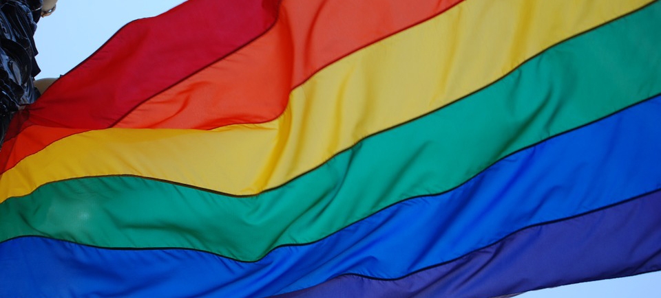 1ª Parada do Orgulho LGBT de Praia Grande acontece domingo (23) | Jornal da Orla