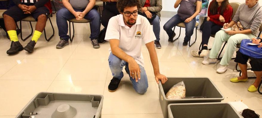 Jardim Botânico celebra a primavera com programação de lazer e oficinas