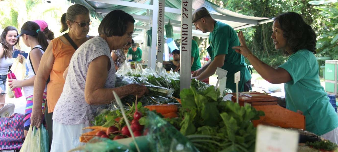 Domingo tem Feira de Orgânicos e de Orquídeas