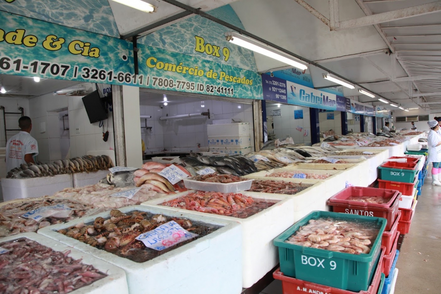 Degustação de pescados agita o Mercado de Peixes de Santos