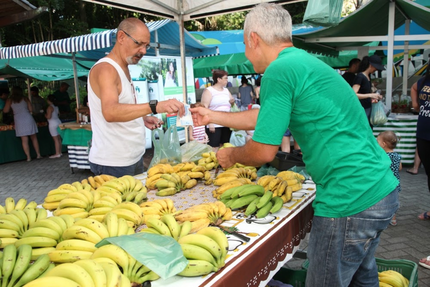Domingo tem feira de orgânicos no Jardim Botânico de Santos
