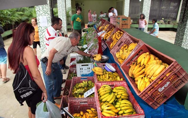 Onde comprar orgânicos em Santos