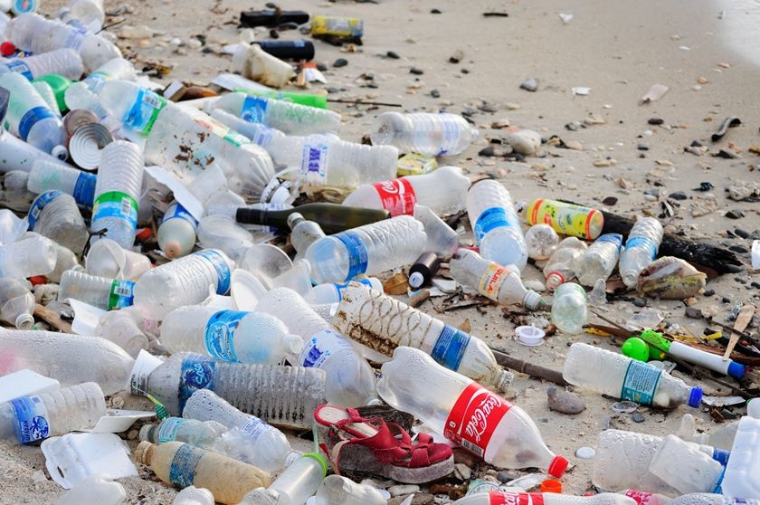 Santos inicia ação para reduzir lixo em mangues, praias e rios | Jornal da Orla