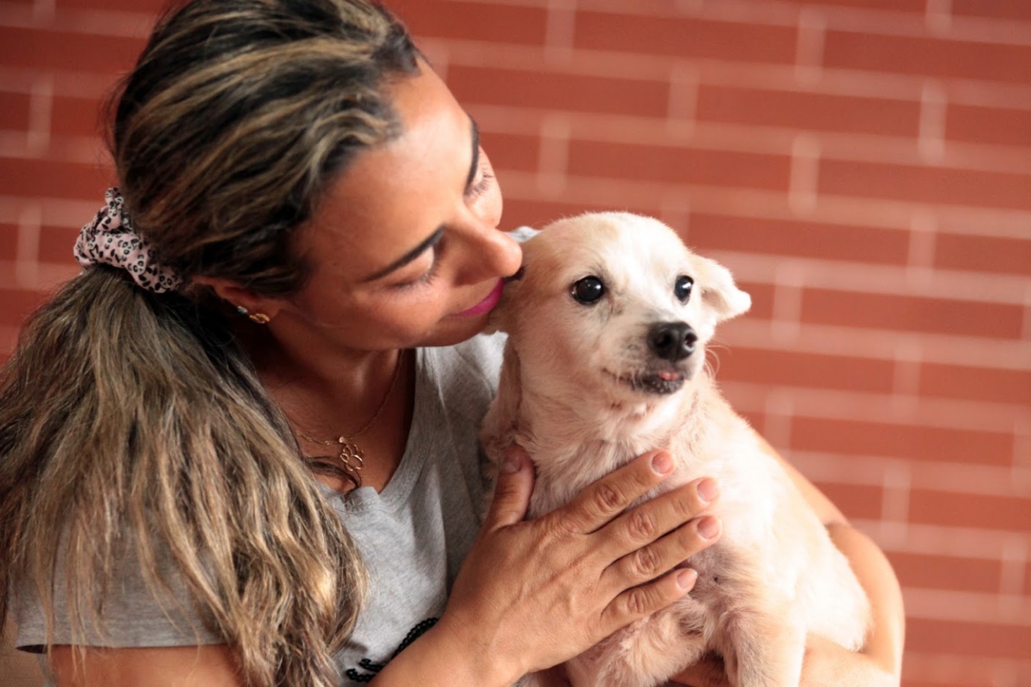 Cachorro de 17 anos é adotado por família de São Vicente | Jornal da Orla