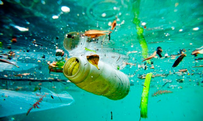 Santos participa de projeto-piloto de prevenção ao lixo no mar | Jornal da Orla