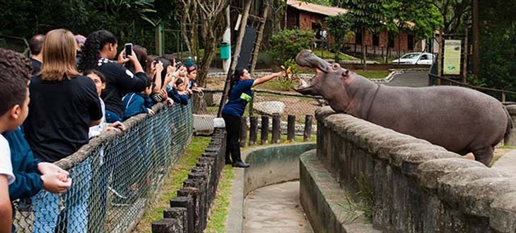 Programação de férias no Parque Ecológico Voturuá