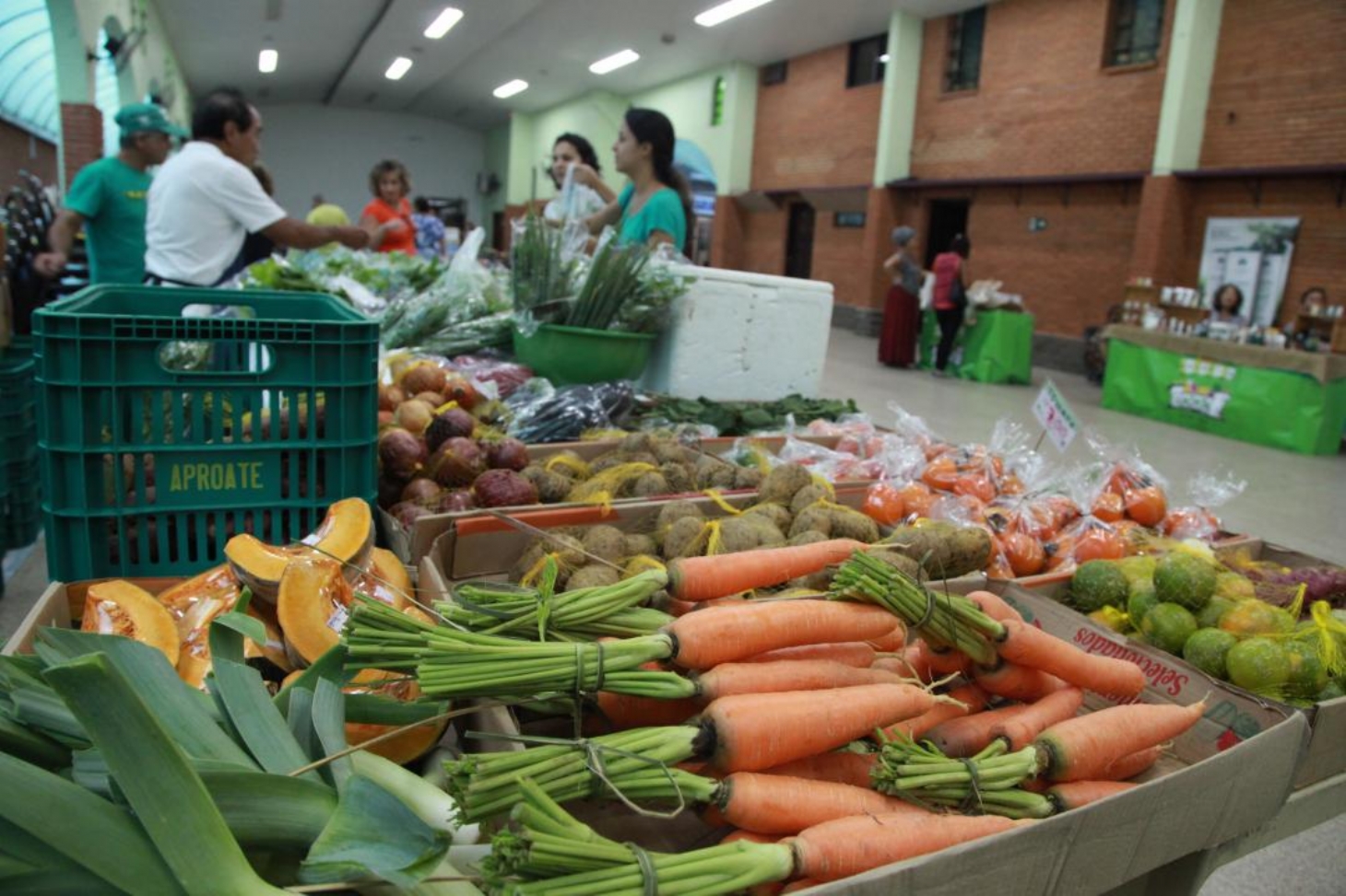 Feira de orgânicos é montada na Aparecida nesta terça (8)