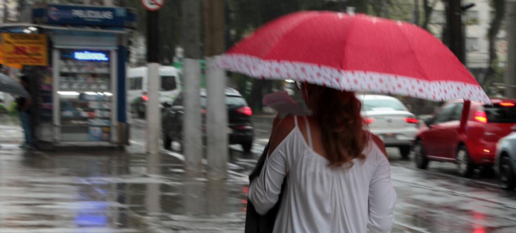 Defesa Civil de Santos alerta para cuidados em situações de alagamentos e áreas de risco
