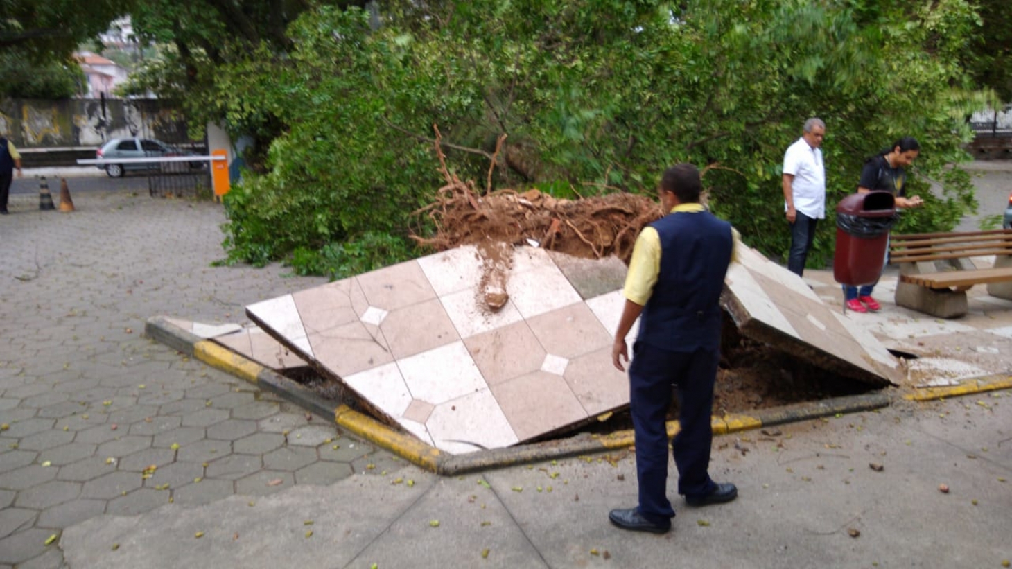Defesa Civil em Santos atende a 69 ocorrências por causa da ventania de domingo | Jornal da Orla
