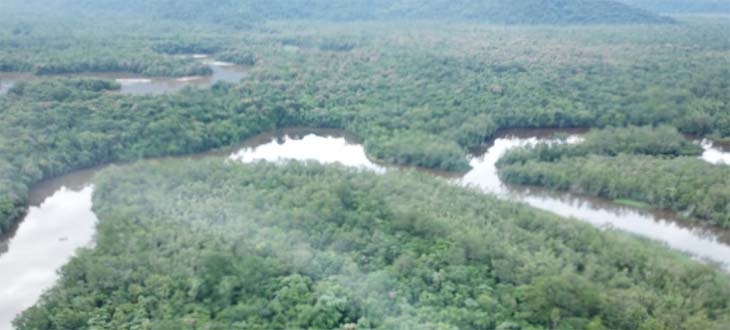 Bertioga usa drone para monitorar invasões em áreas de preservação ambiental | Jornal da Orla