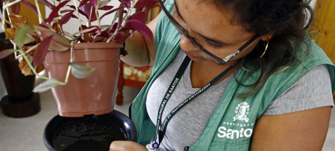 Mutirão elimina 172 larvas do Aedes na Vila Mathias