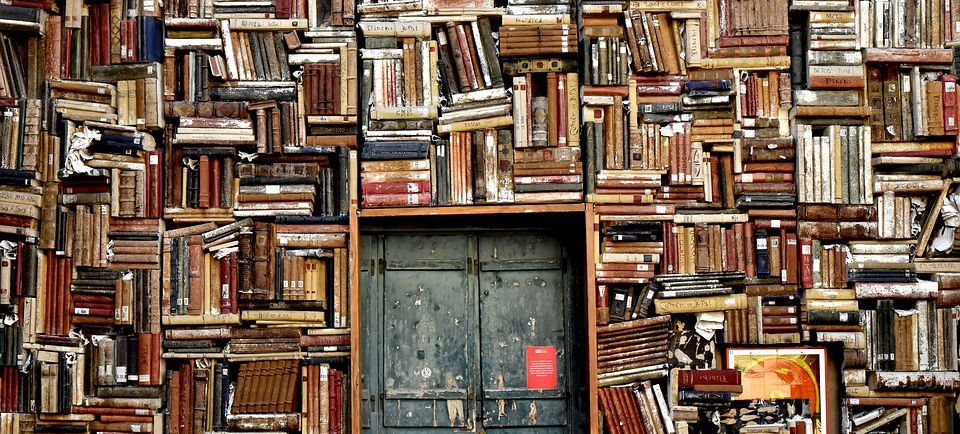 Doe livros em Santos sem sair de casa | Jornal da Orla