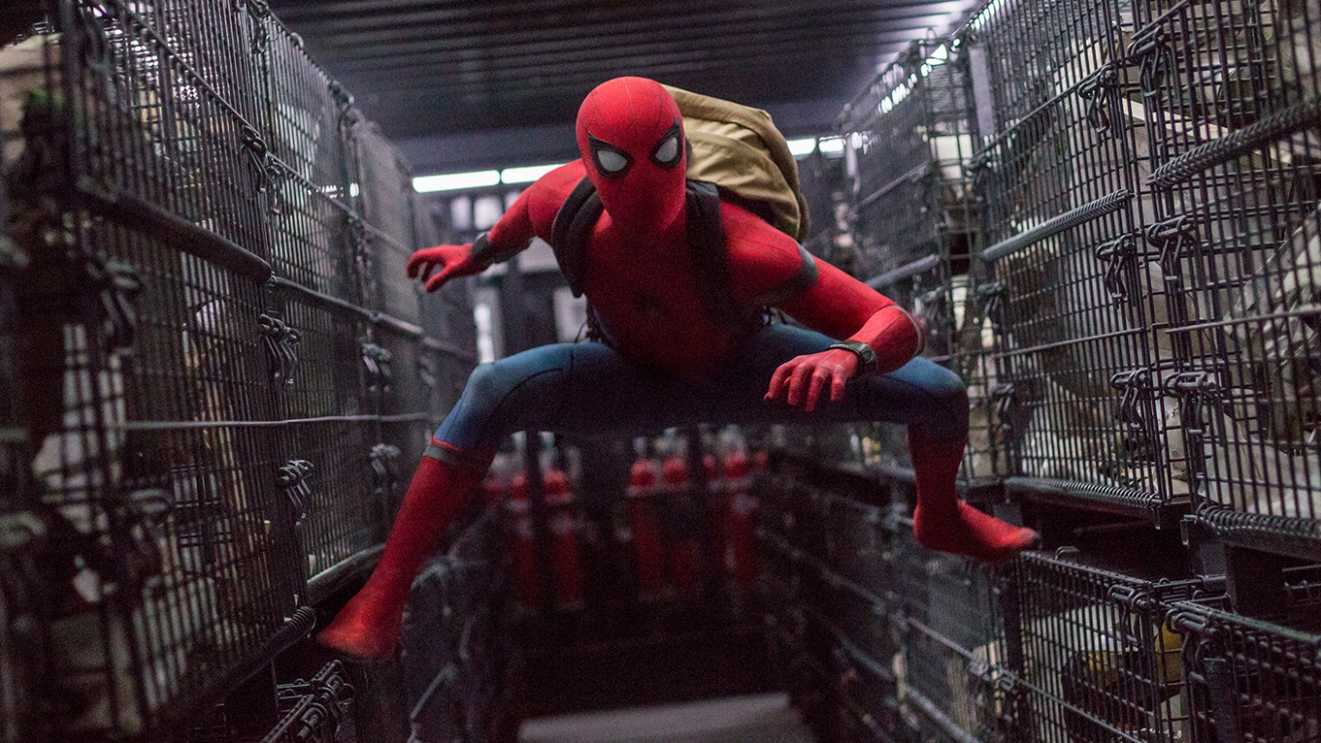 Homem-Aranha invade a Gibiteca de Santos neste fim de semana