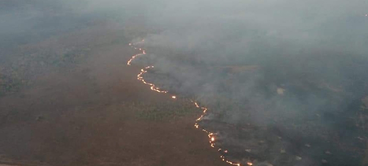 Países da América do Sul se mobilizam contra incêndios florestais | Jornal da Orla