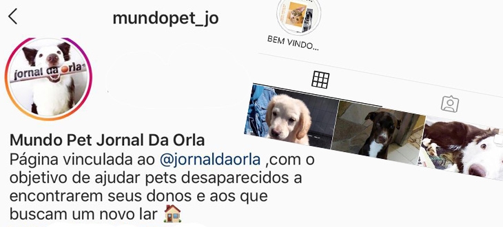 Conheça o perfil do Mundo Pet Jornal no Instagram | Jornal da Orla