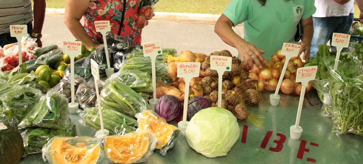 Feira de Orgânicos no Jardim Botânico de Santos tem programação no fim de semana