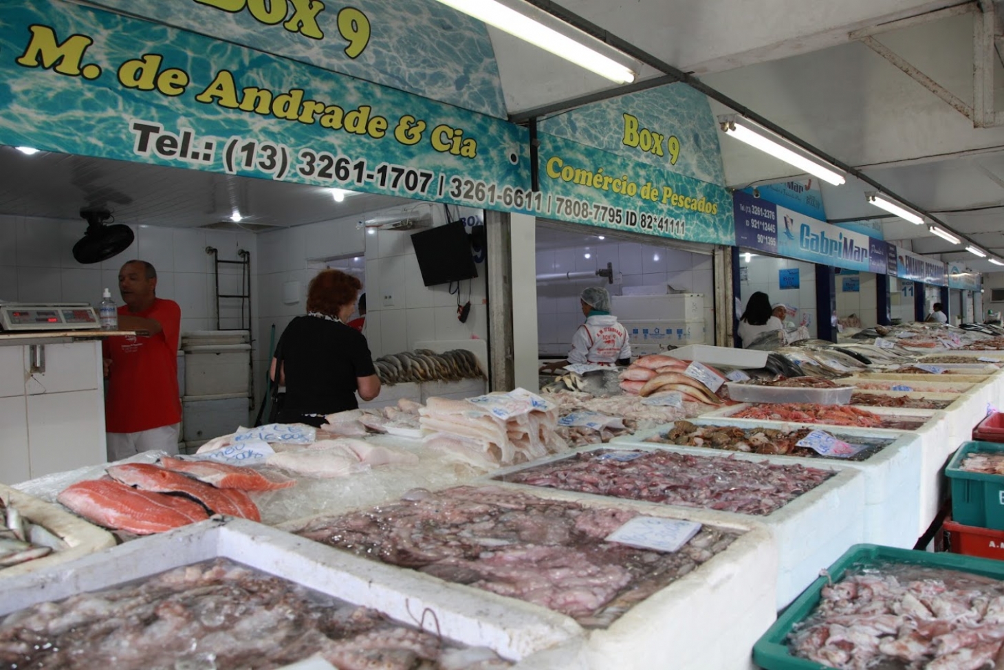 Mercado de Peixes de Santos realiza festival de pescados neste sábado