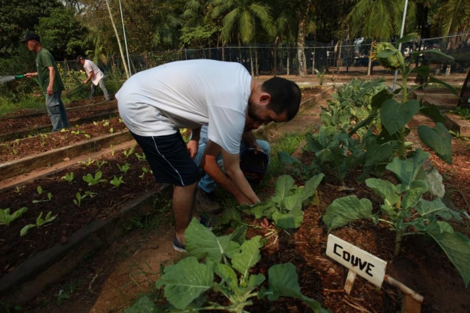 Inscrições abertas para o curso de jardinagem no Jardim Botânico de Santos
