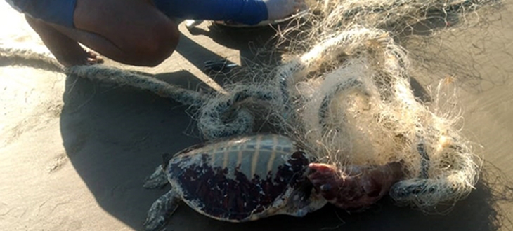 Guarda Costeira de PG apreende redes de pesca irregulares