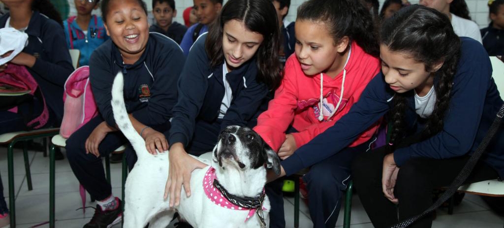 Crianças de Santos aprendem em sala de aula como proteger os animais