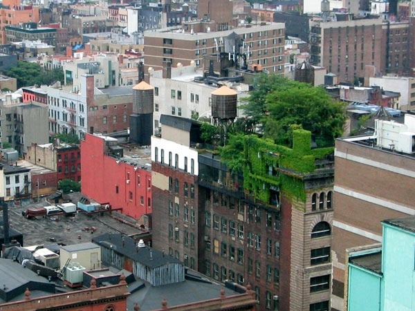Urbanismo natural, ao alcance de todos | Jornal da Orla