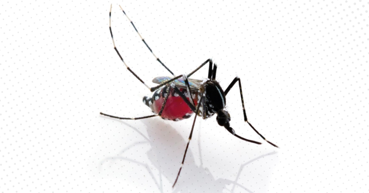 Contra dengue, agentes vistoriam casa a casa em cinco bairros de Guarujá