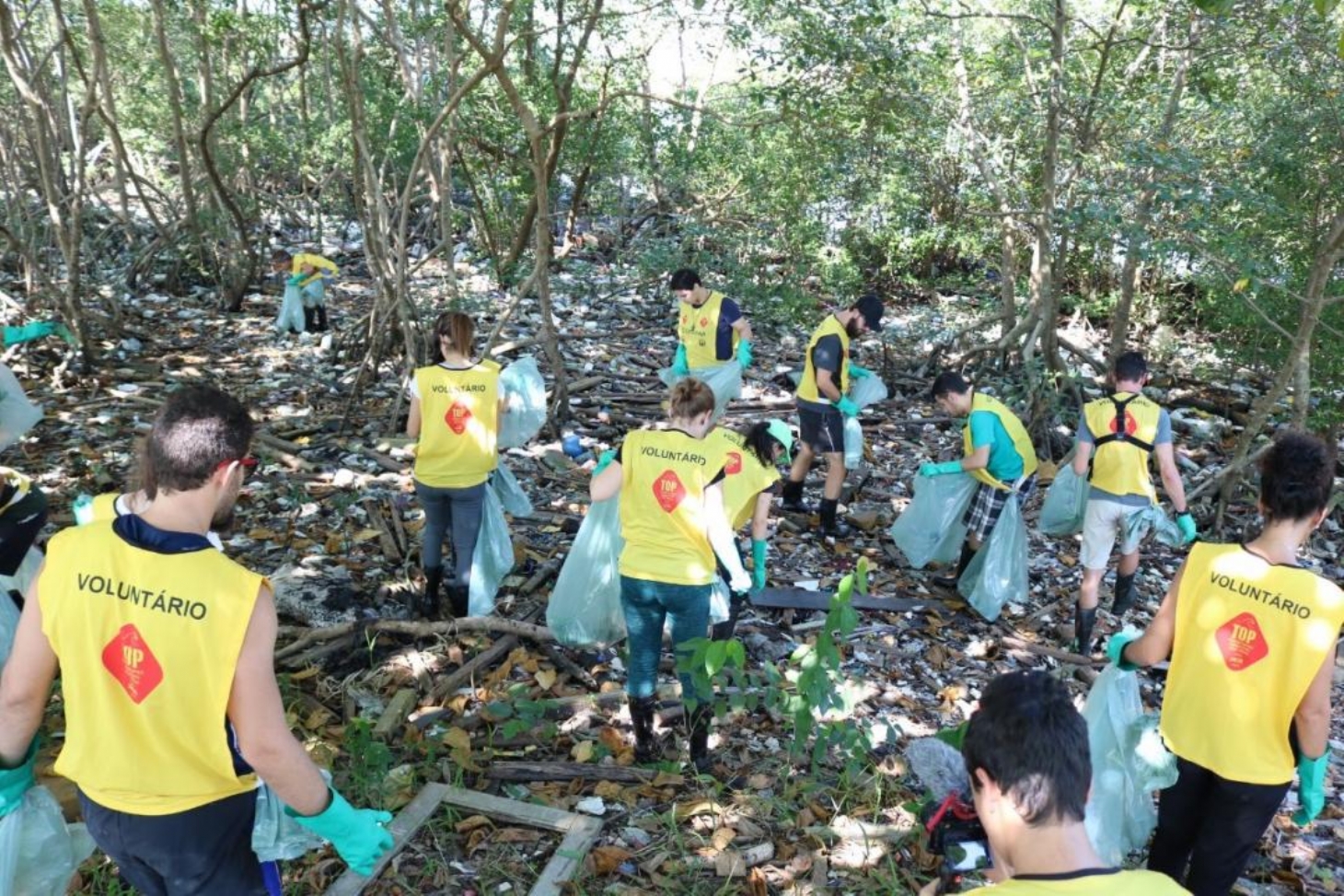 Voluntários podem se inscrever para mutirão de limpeza em mangue da Zona Noroeste de Santos