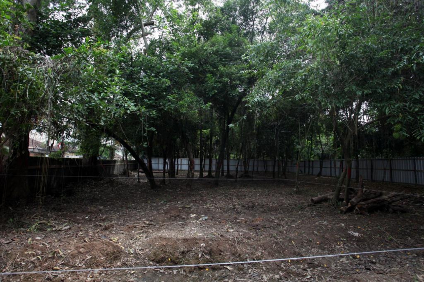 Jardim Botânico terá o primeiro parque infantil acessível de Santos
