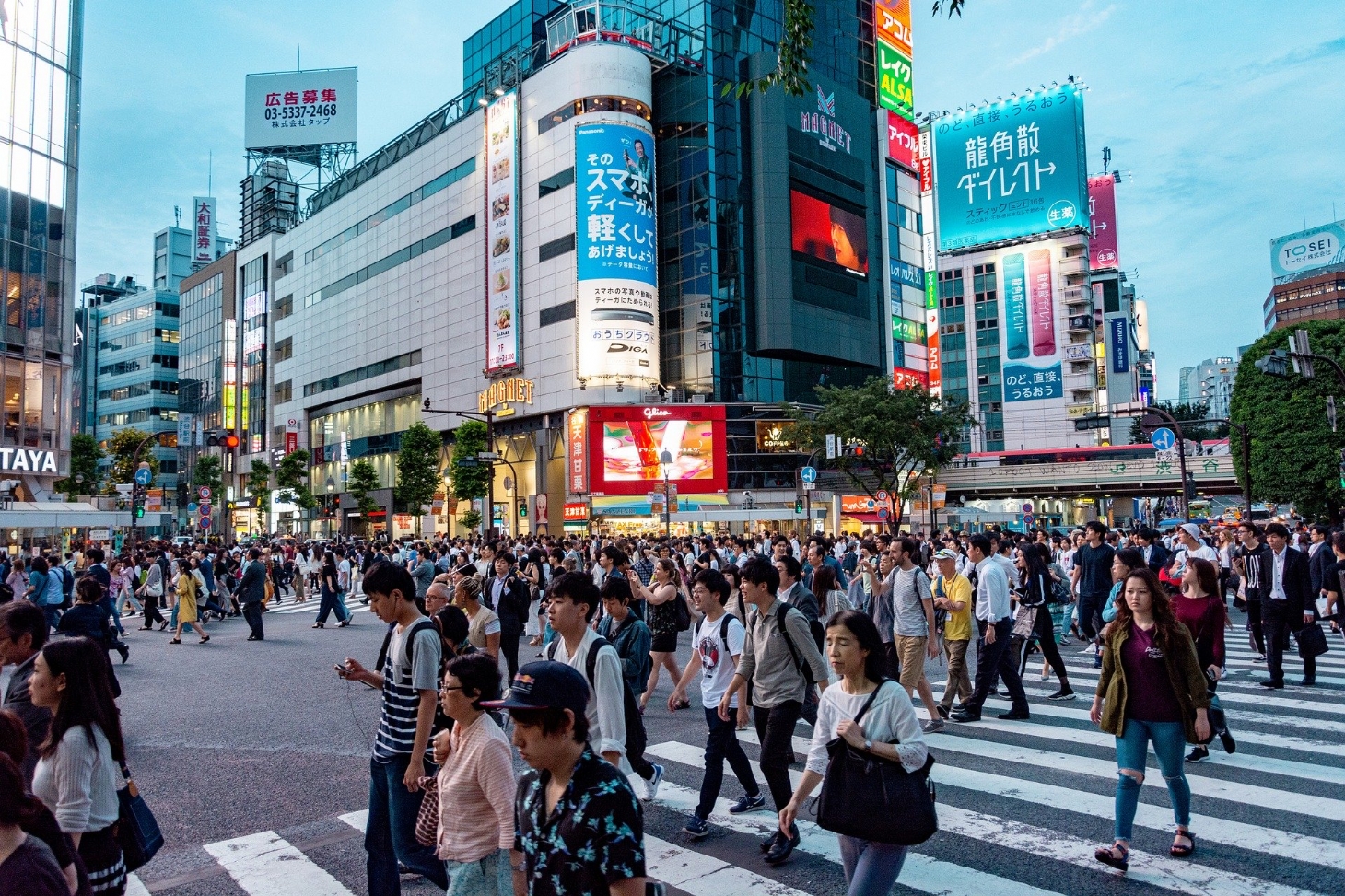 Santistas podem concorrer a vaga para intercâmbio no Japão | Jornal da Orla