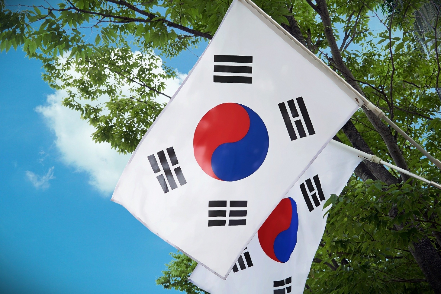 Coreia do Sul: êxito planejado | Jornal da Orla