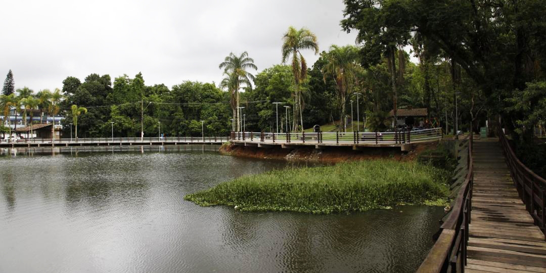 Limpeza deve remover 200 quilos de folhagem da Lagoa da Saudade, em Santos