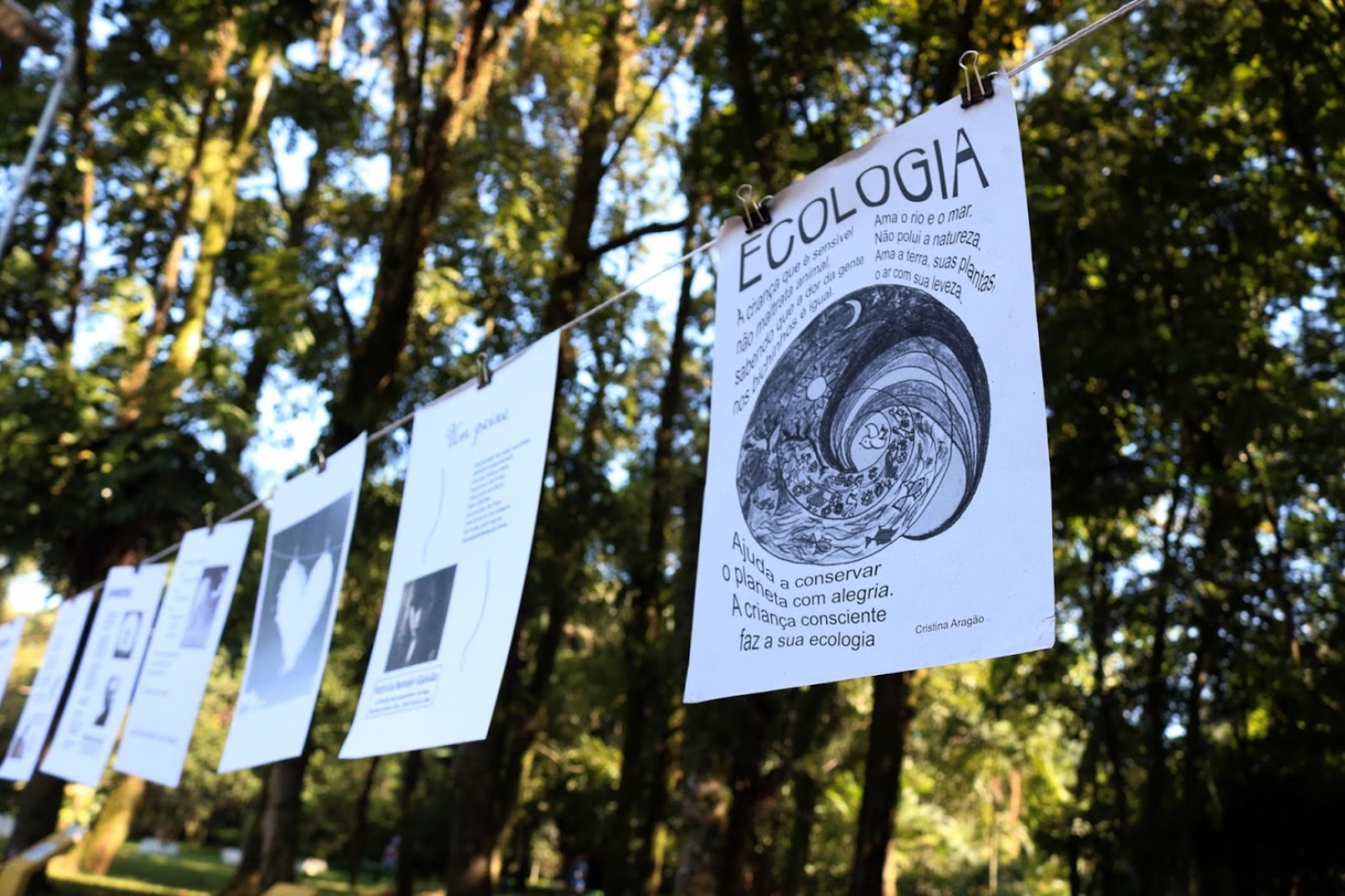 Arte no Parque tem programação no Jardim Botânico de Santos