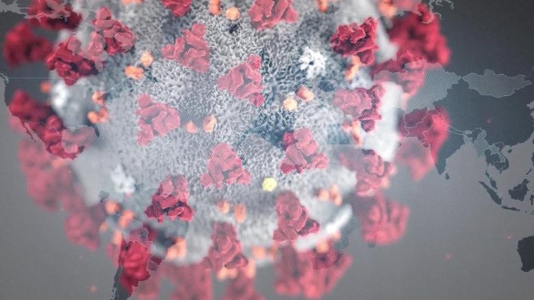 Coreia do Sul registra menor número de casos novos de coronavírus | Jornal da Orla