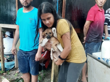 Animais atingidos pelas chuvas recebem atendimento | Jornal da Orla