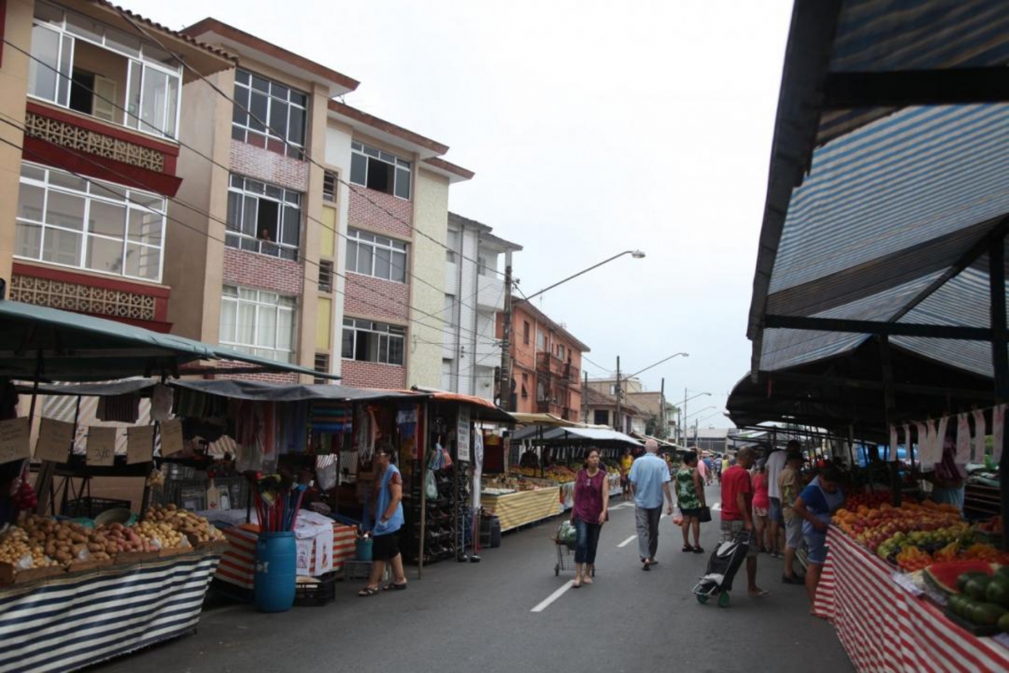 Feiras livres têm novas medidas de organização e funcionamento em Santos